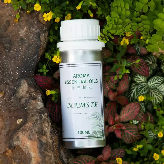 Diffuseur d'huiles essentielles pour diffuseur d'aromathérapie
