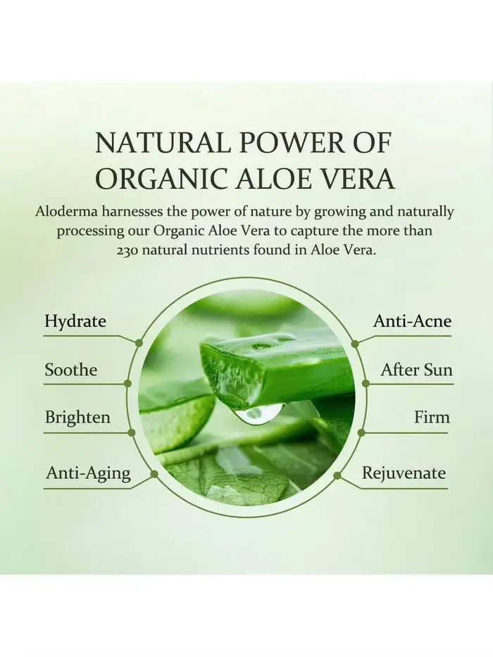 Le gel d'aloe vera GZE améliore la vitalité de la peau