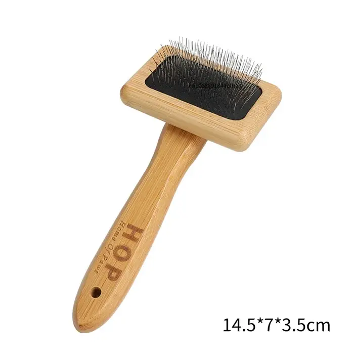 Peigne à manche en bambou naturel et brosse à cheveux en acier inoxydable, outils pour animaux de co