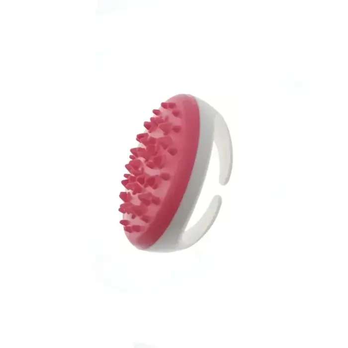 Brosse de Massage pour tout le corps
