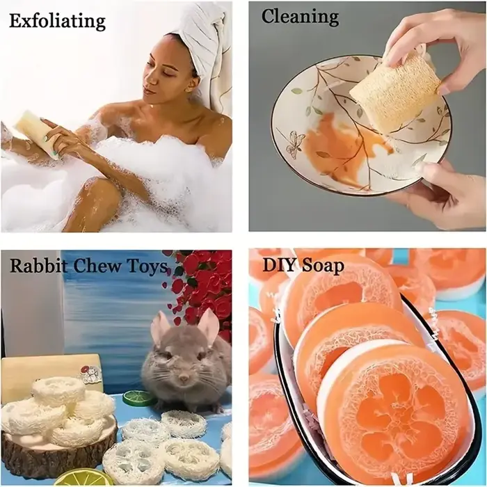 Éponge exfoliante naturelle égyptienne pour le corps