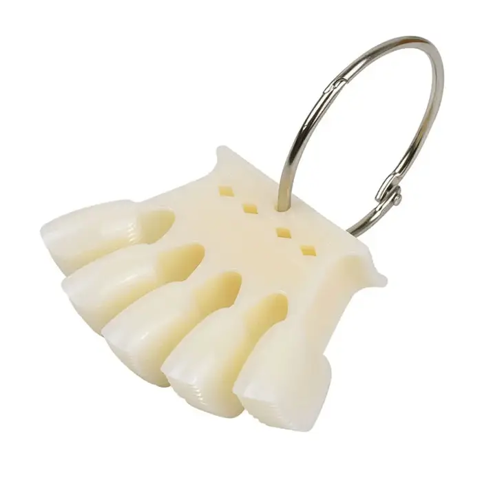 50 pointes carte de couleur faux ongles échantillon ventilateur Transparent blanc acrylique montrant étagère Nail Art