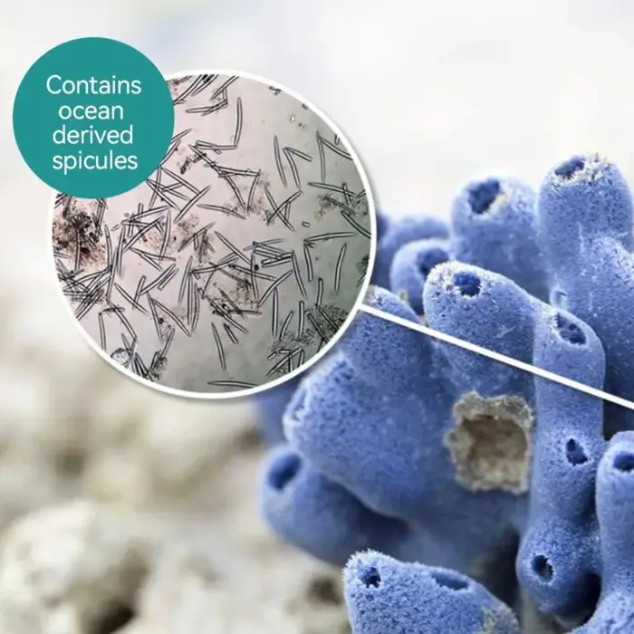Kit de spicules d'éponge biomicrocristallines S VIAL pour nettoyer les pores