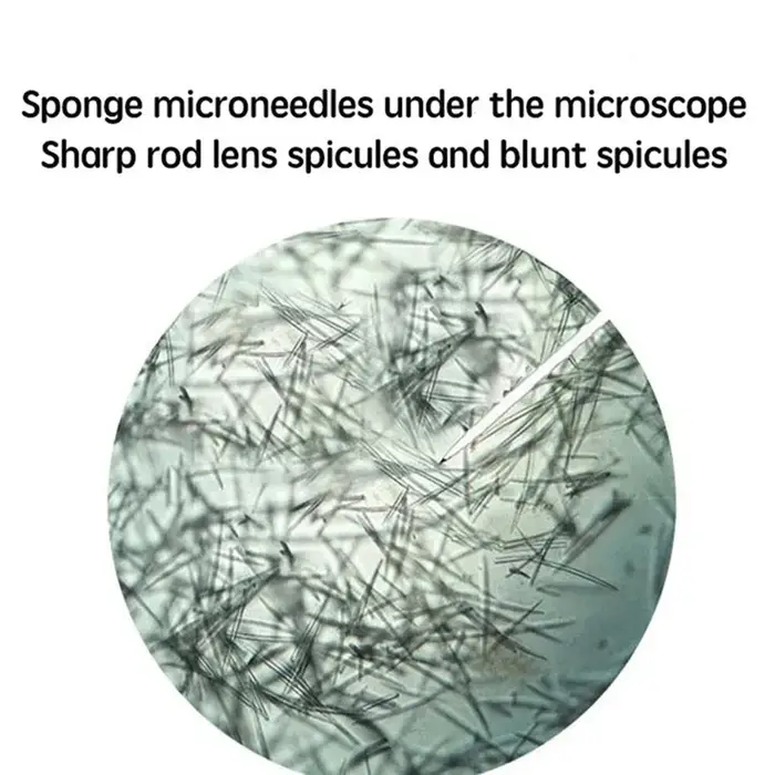 Kit de spicules d'éponge biomicrocristallines S VIAL pour nettoyer les pores