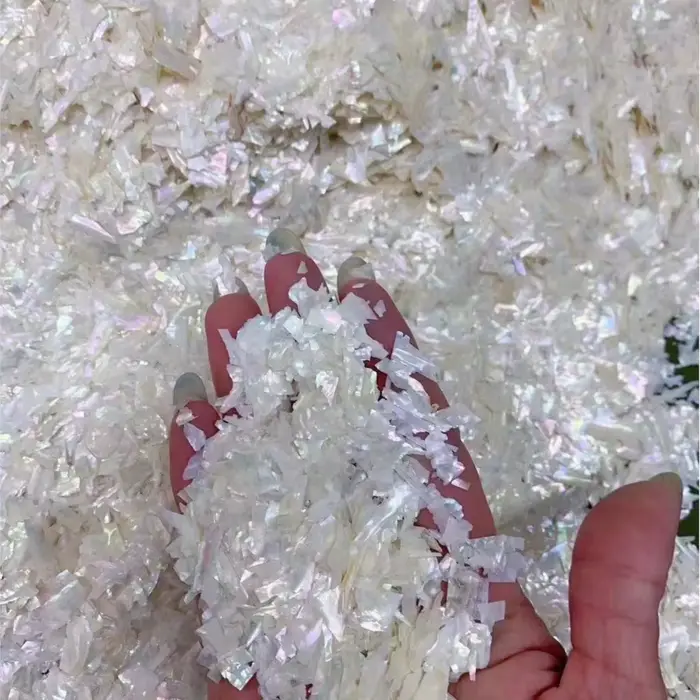 Breloques à ongles en coquillage d'ormeau naturel, nickel é ultra-mince, tranches irrégulières d'orm