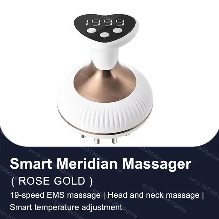 Masseur électrique Anti-Cellulite, brosse de Massage méridien, Massage corporel, Drainage lymphatiqu