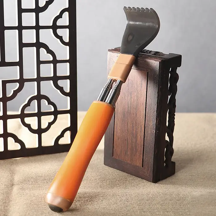 Gratte-dos télescopique Portable rétractable en acier inoxydable